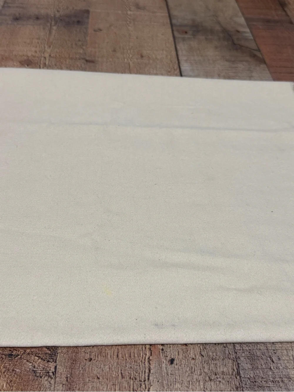 Louis Vuitton authentic louis